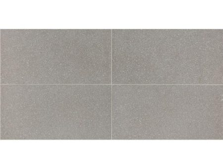 American Olean Neospeck 12 in. x 24 in. Polished Porcelain Floor Tile - Light Gray Hot on Sale