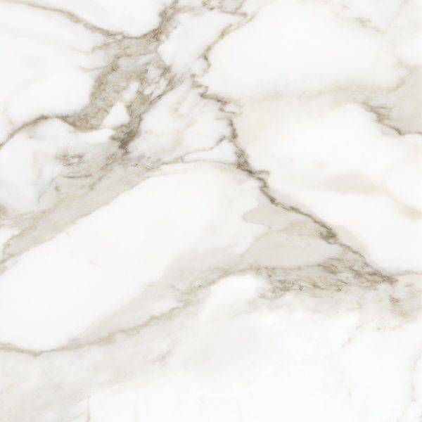 Anatolia - La Marca Glazed Porcelain 24 in. x 24 in. Polished Tile - Calacatta Paonazzo Online now