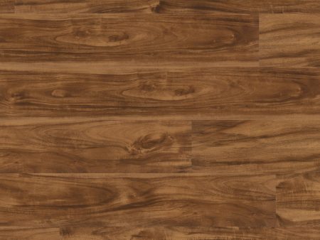 TRUCOR by Dixie Home - Alpha Collection - Spice Acacia For Cheap