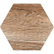 Tesoro - Gauguin Wood Hex Porcelain Tile - Mix Hex Cheap