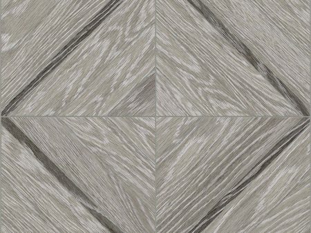 Anatolia Aspen 16 in. x 16 in. HD Porcelain Marquetry Mosaics - Beachcomber For Sale