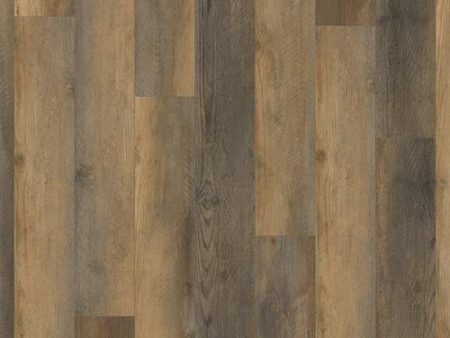 TRUCOR by Dixie Home - 5 Series - Amber Pine Online Sale