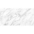 Anatolia - La Marca Glazed Porcelain 24 in. x 48 in. Honed Tile - Statuarietto Online Hot Sale