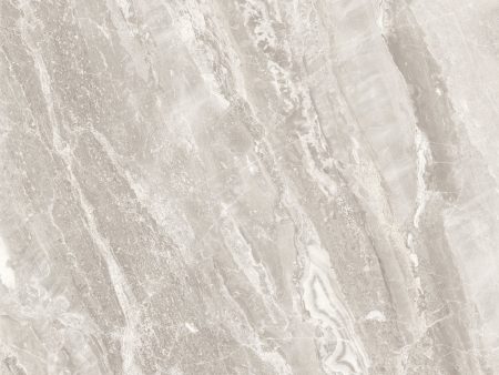 Anatolia Mayfair 24 in. x 24 in. HD Rectified Porcelain Tile - Stella Argento (Polished) Online Sale