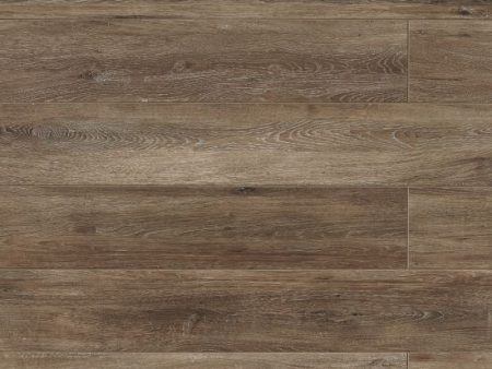 Bedrosians Tile & Stone - Othello 8  x 48  Floor & Wall Tile - Brown Online now