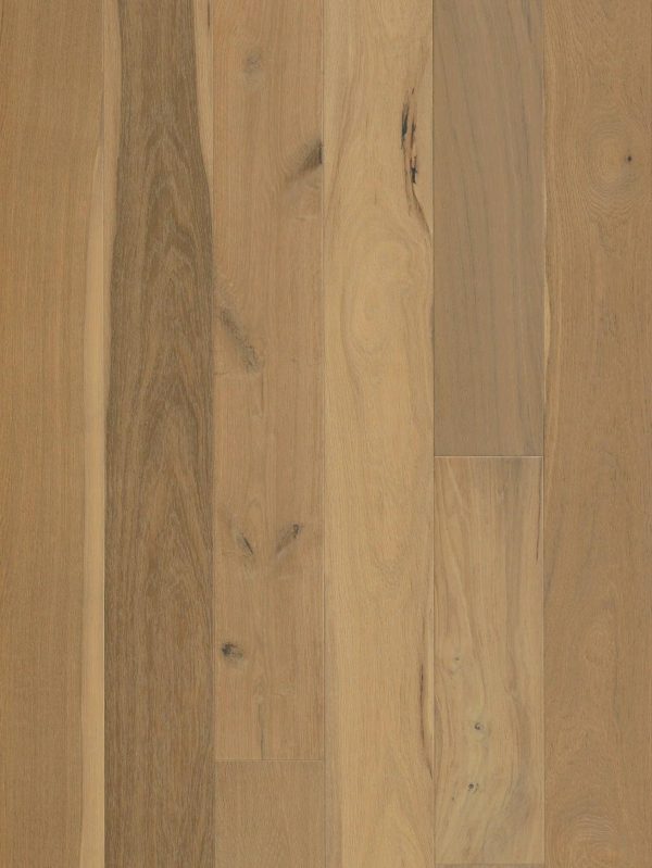 Avalon European Oak Percival Online now