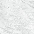 Anatolia - La Marca Glazed Porcelain 24 in. x 24 in. Polished Tile - Carrara Gioia Supply