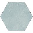 Tesoro - Spring Time Hex Porcelain Tile - Blue Online Hot Sale