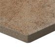 Lungarno Ceramics - Disk 14 in. x 16 in. Porcelain Hexagon Tile - Brown Online Sale