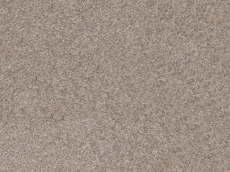 *Closeout Carpet* Shaw Commanding Tweed - Weathered - $1.05 per SF ($9.45 SY) Online Sale