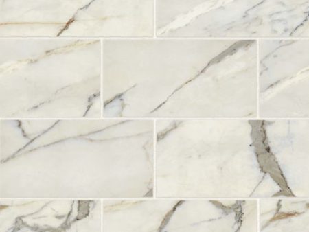 Bedrosians - Classic 2.0 12  x 24  Floor & Wall Tile - Calacatta Oro Polished Supply