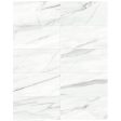 Anatolia Mayfair 12 in. x 24 in. HD Rectified Porcelain Tile - Volakas Grigio (Polished) Sale