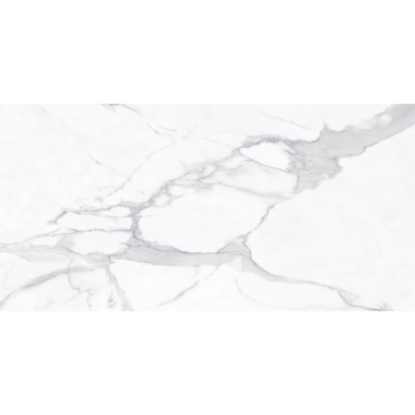 Anatolia - La Marca Glazed Porcelain 24 in. x 48 in. Polished Tile - Statuario Nuovo Fashion